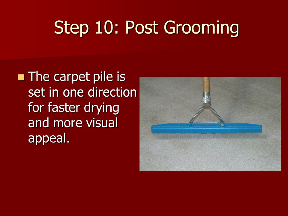 Step 10: Post Grooming Step 10: Post Grooming The carpet pile is set in one direction for faster drying and more visual appeal.