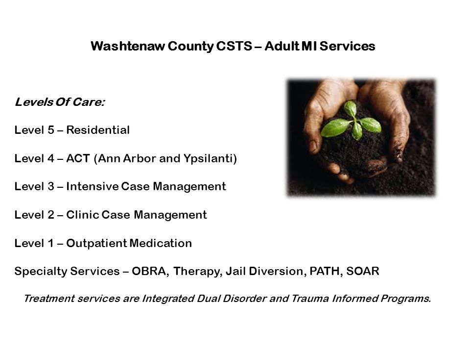 Washtenaw County CSTS – Adult MI Services Levels Of Care: Level 5 – Residential Level 4 – ACT (Ann Arbor and Ypsilanti) Level 3 – Intensive Case Management Level 2 – Clinic Case Management Level 1 – Outpatient Medication Specialty Services – OBRA, Therapy, Jail Diversion, PATH, SOAR Treatment services are Integrated Dual Disorder and Trauma Informed Programs.