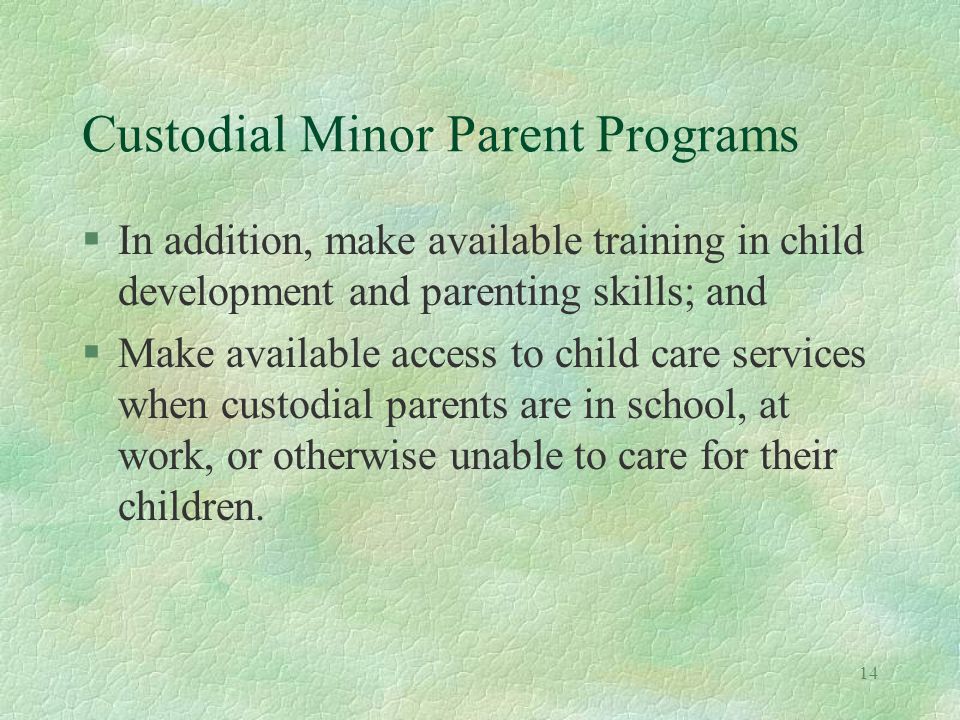 14 Custodial Minor Parent Programs §In addition, make available training in child development and parenting skills; and §Make available access to child care services when custodial parents are in school, at work, or otherwise unable to care for their children.