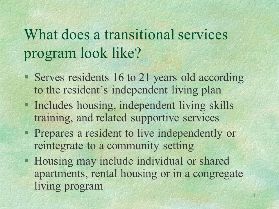 4 What does a transitional services program look like.
