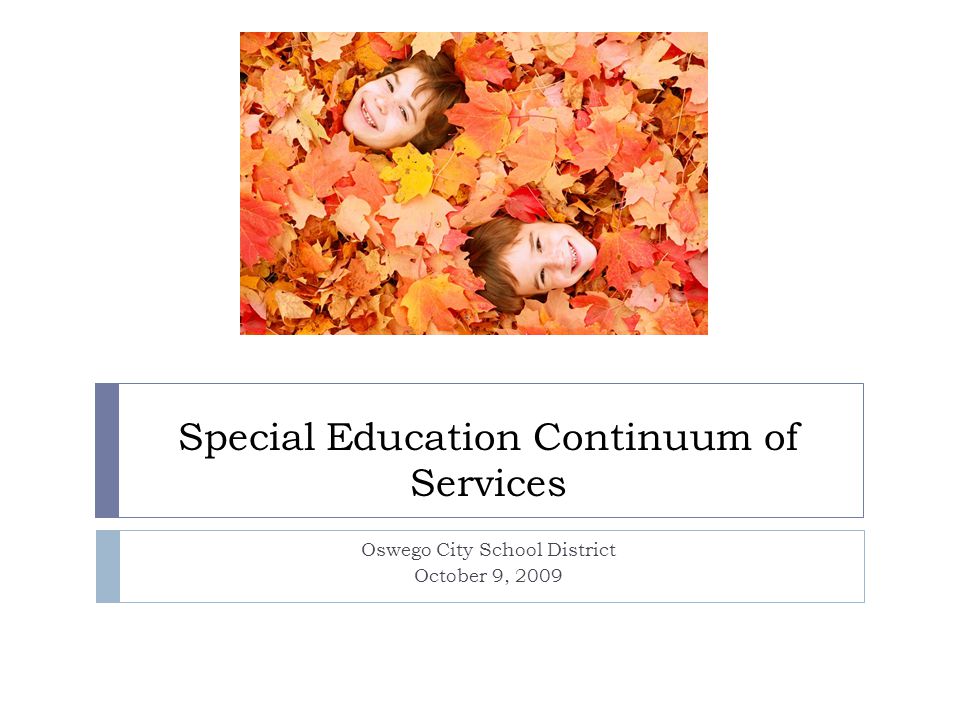 Special Education Continuum of Services Oswego City School District October 9, 2009