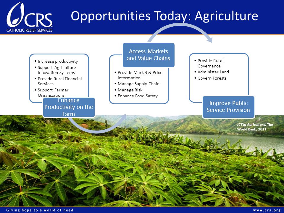 Opportunities Today: Agriculture ICT in Agriculture, The World Bank, 2011 Increase productivity Support Agriculture Innovation Systems Provide Rural Financial Services Support Farmer Organizations Enhance Productivity on the Farm Provide Market & Price Information Manage Supply Chain Manage Risk Enhance Food Safety Access Markets and Value Chains Provide Rural Governance Administer Land Govern Forests Improve Public Service Provision