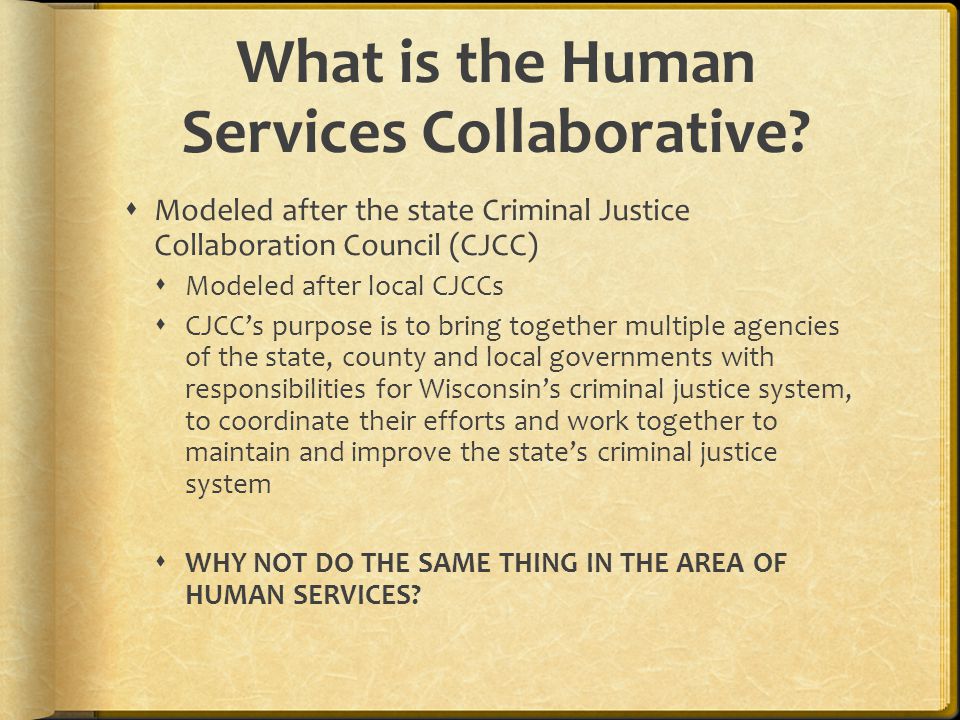 What is the Human Services Collaborative.