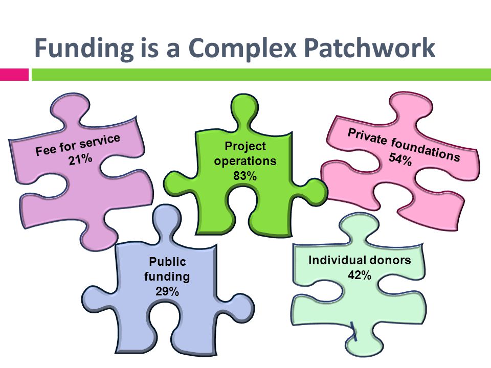 Funding is a Complex Patchwork Private foundations 54% Public funding 29% Individual donors 42% Project operations 83% Fee for service 21%