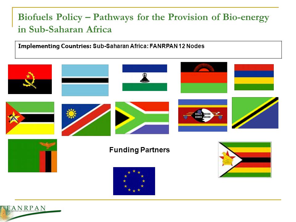 Biofuels Policy – Pathways for the Provision of Bio-energy in Sub-Saharan Africa Implementing Countries: Sub-Saharan Africa: FANRPAN 12 Nodes Funding Partners