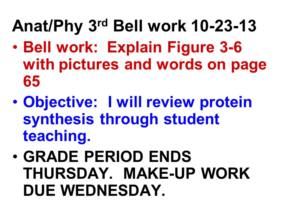 Anat/Phy 3 rd Bell work Bell work: Explain Figure 3-6 with pictures and words on page 65 Objective: I will review protein synthesis through student teaching.