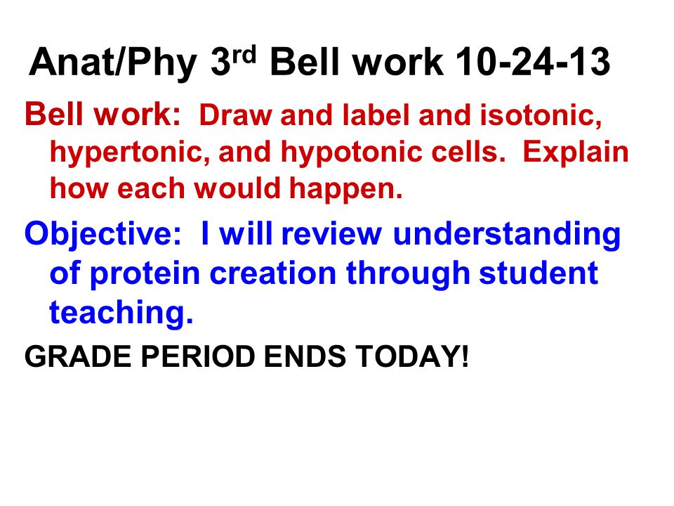 Anat/Phy 3 rd Bell work Bell work: Draw and label and isotonic, hypertonic, and hypotonic cells.