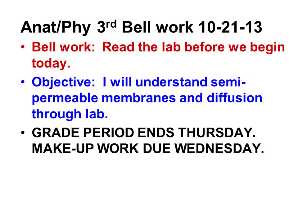 Anat/Phy 3 rd Bell work Bell work: Read the lab before we begin today.