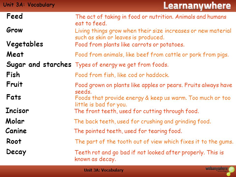 Unit 3A: Teeth and Eating. Make a list of all the foods you like to eat. -  ppt download
