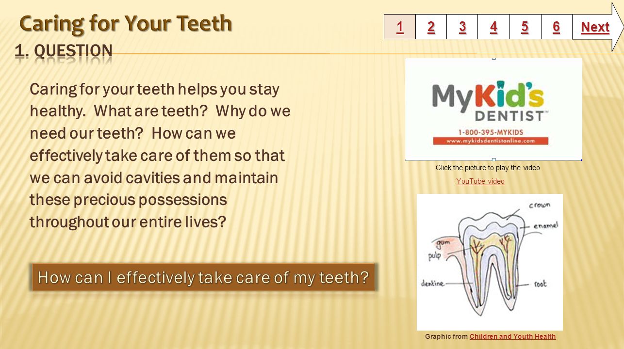 Caring for your teeth helps you stay healthy. What are teeth.