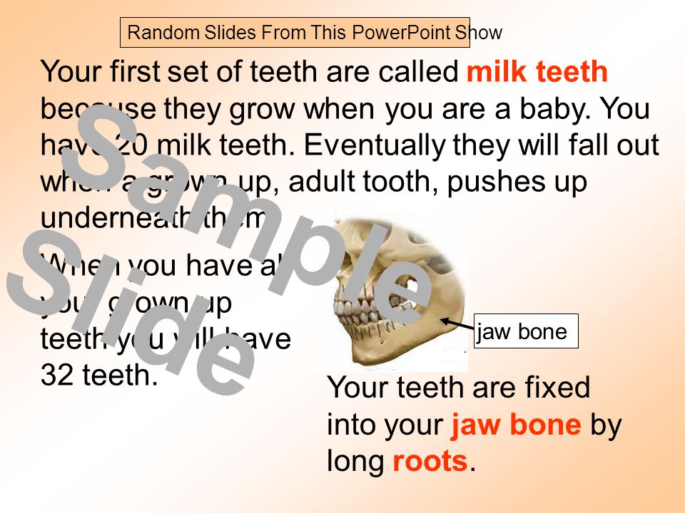 Your first set of teeth are called milk teeth because they grow when you are a baby.