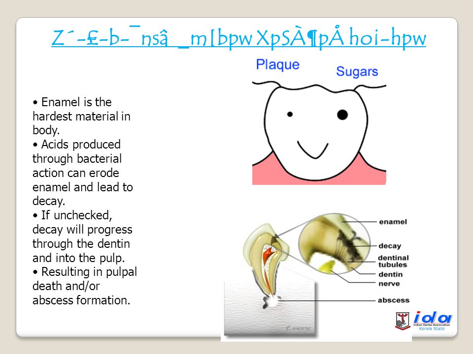 Public Dental Health Education 2010 Teeth Av Ppt Download