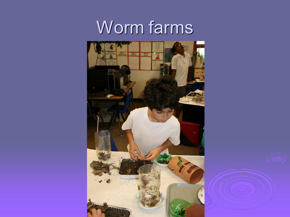 Worm farms