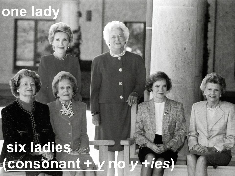 (consonant + y no y +ies) six ladies one lady