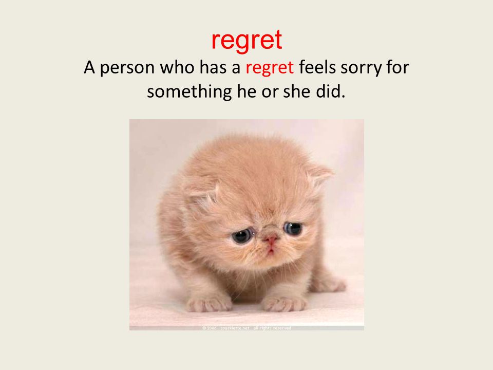 regret A person who has a regret feels sorry for something he or she did.