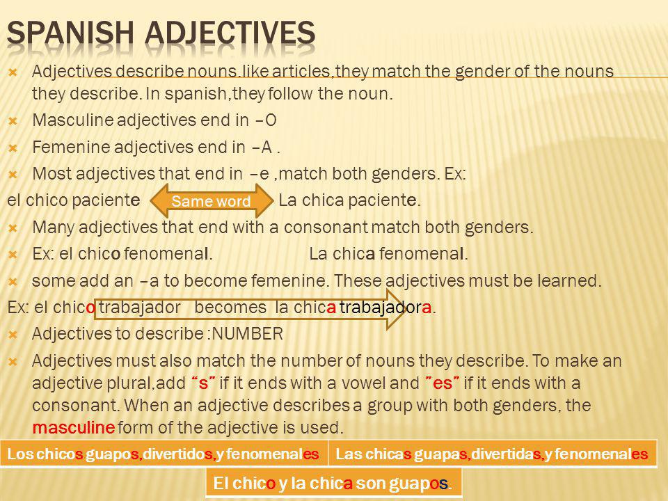 Adjectives describe nouns.like articles,they match the gender of the nouns they describe.