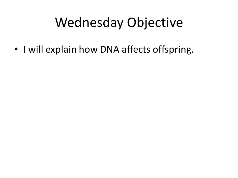 Wednesday Objective I will explain how DNA affects offspring.