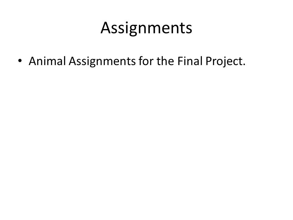 Assignments Animal Assignments for the Final Project.