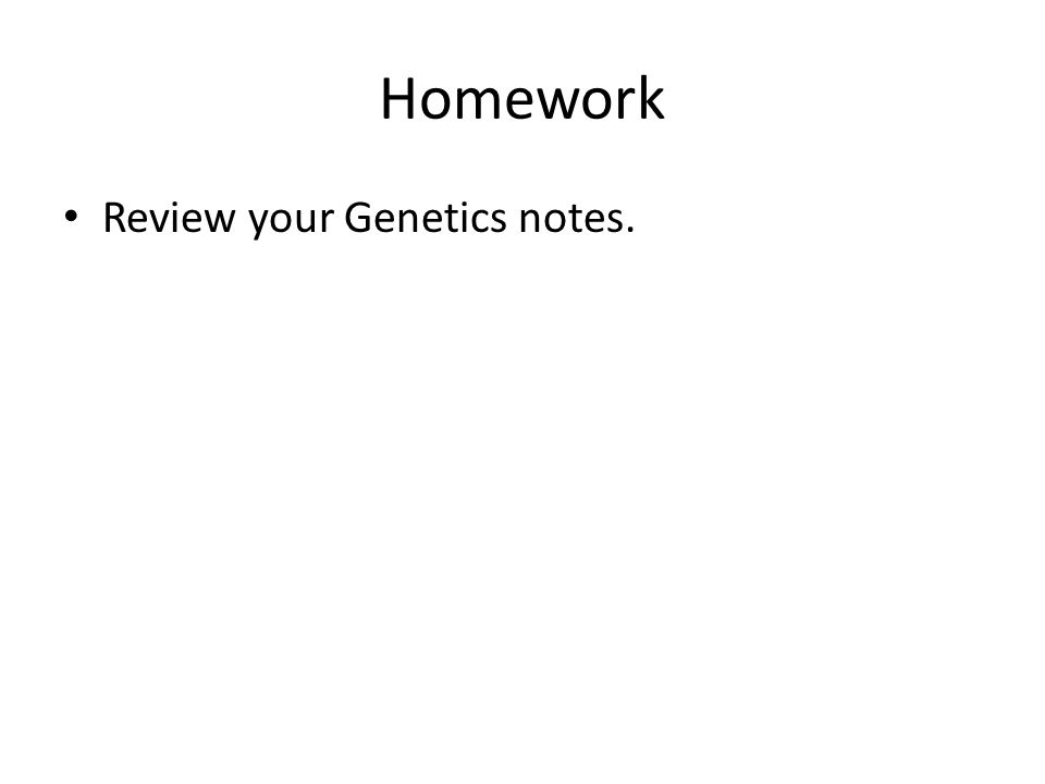 Homework Review your Genetics notes.