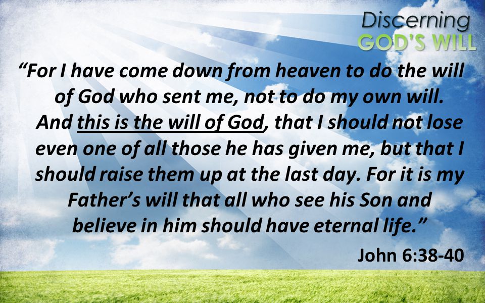 Discerning For I have come down from heaven to do the will of God who sent me, not to do my own will.