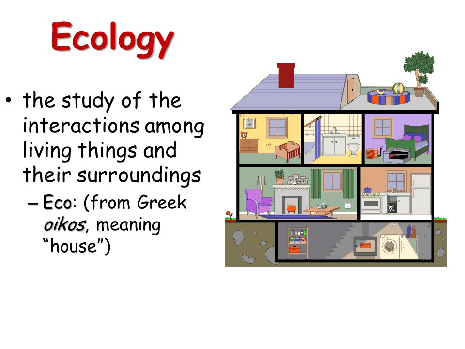 Ecology the study of the interactions among living things and their surroundings – Eco oikos – Eco: (from Greek oikos, meaning house)