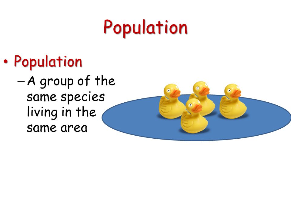 Population Population Population – A group of the same species living in the same area