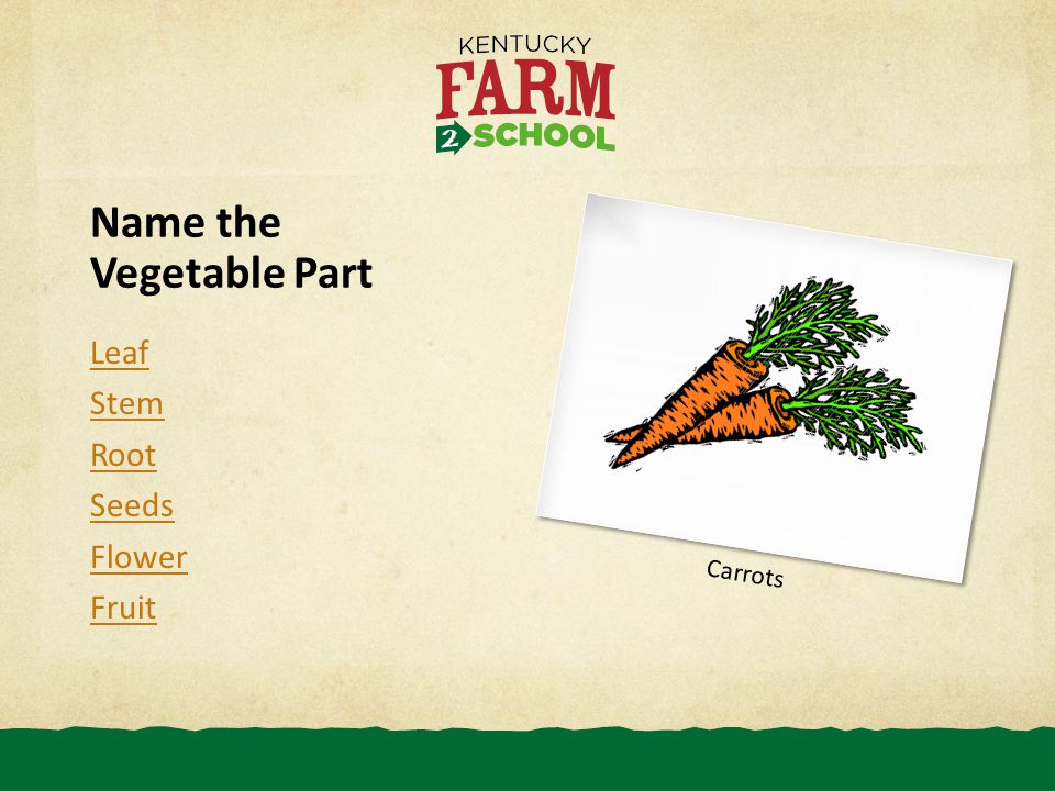 Name the Vegetable Part Leaf Stem Root Seeds Flower Fruit Carrots