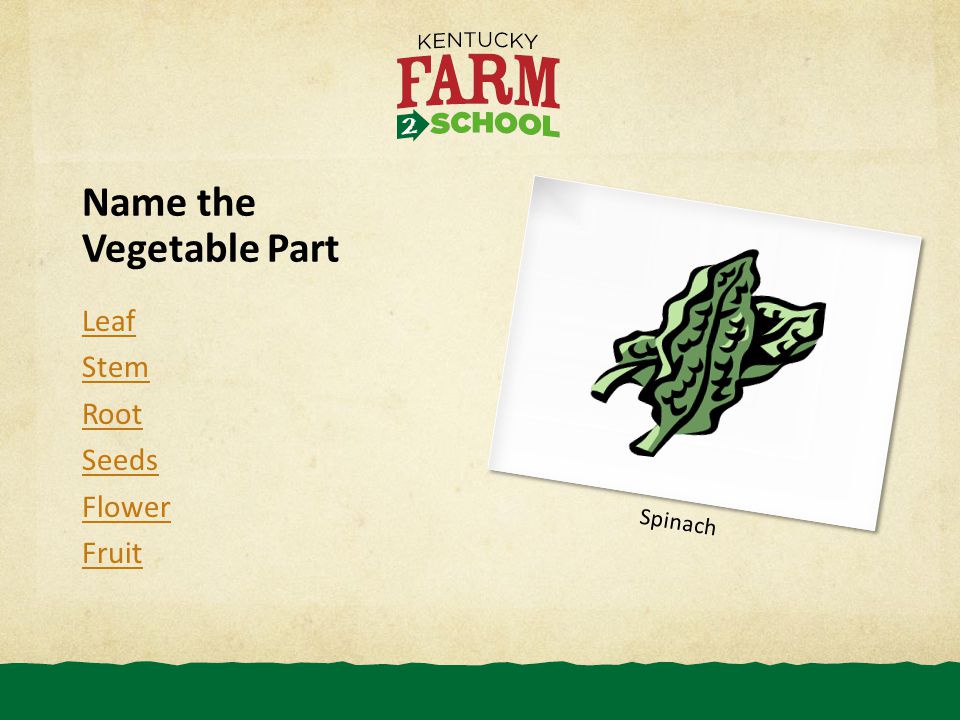 Name the Vegetable Part Leaf Stem Root Seeds Flower Fruit Spinach