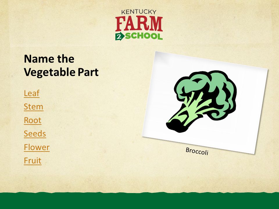 Name the Vegetable Part Leaf Stem Root Seeds Flower Fruit Broccoli