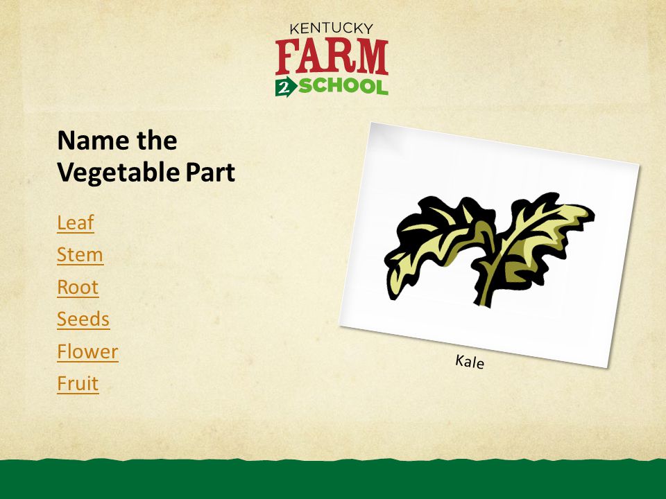 Name the Vegetable Part Leaf Stem Root Seeds Flower Fruit Kale