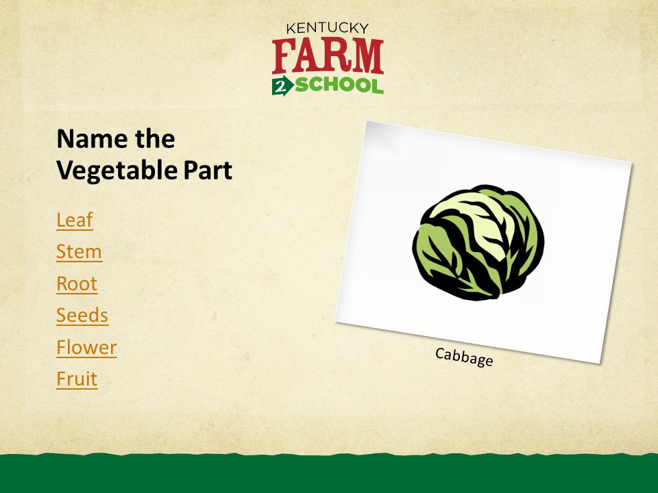 Name the Vegetable Part Leaf Stem Root Seeds Flower Fruit Cabbage