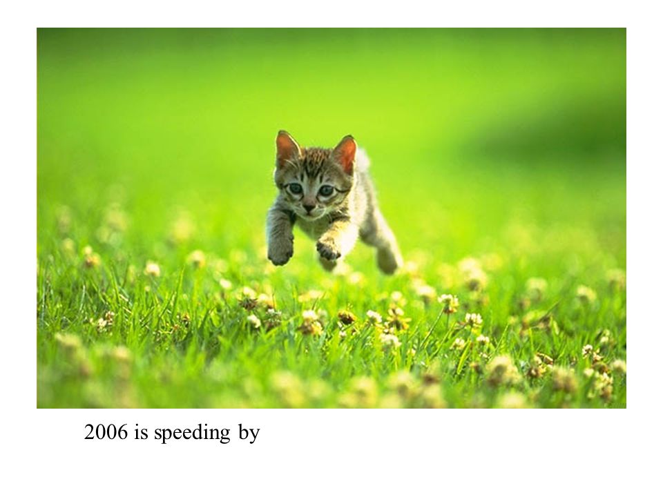 2006 is speeding by