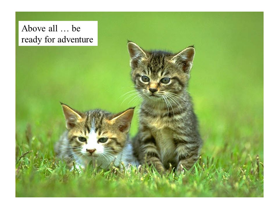 Above all … be ready for adventure