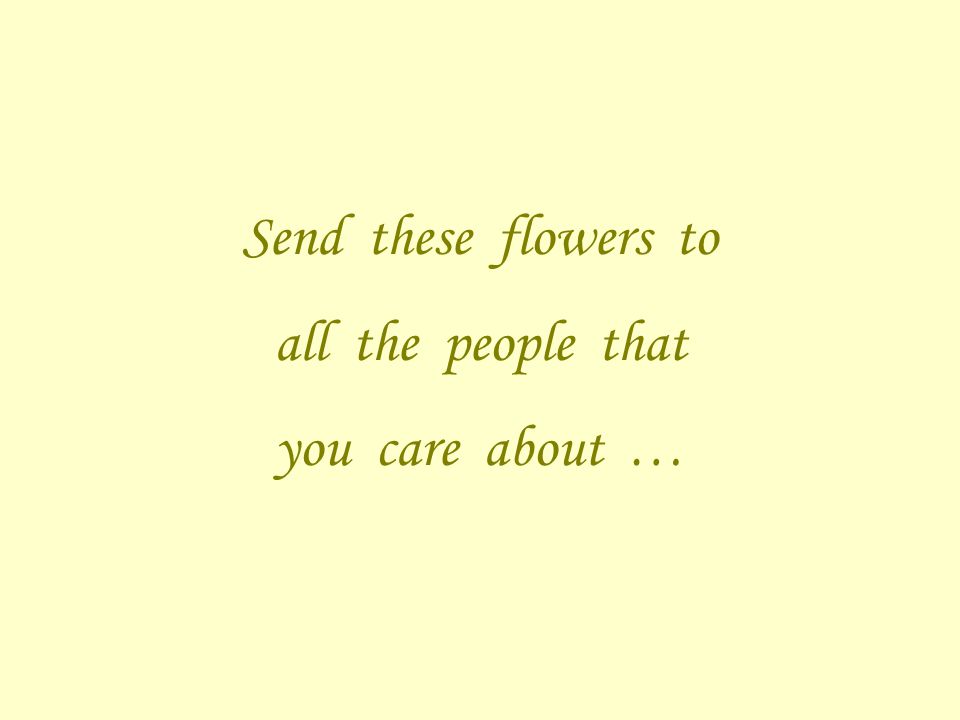 Send these flowers to all the people that you care about …