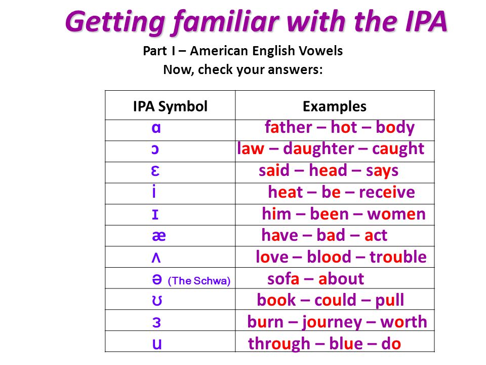 ipa vowel symbols and examples ipa vowels