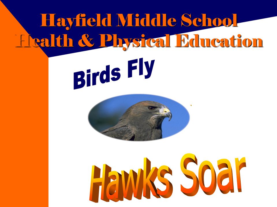 Hayfield Middle School Health & Physical Education