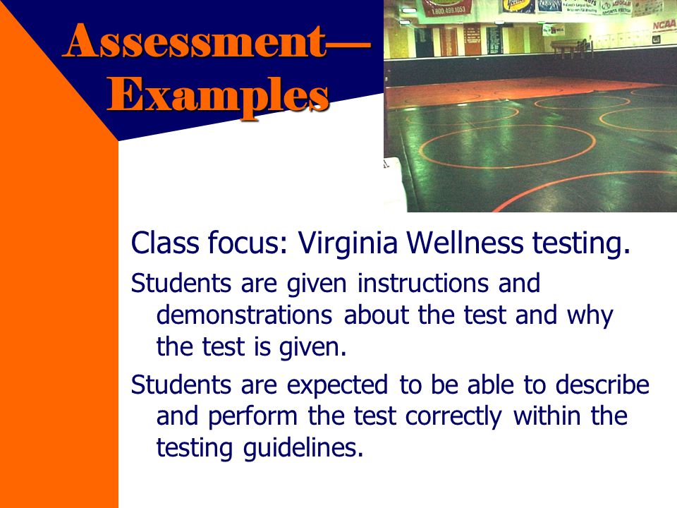 Assessment Examples Class focus: Virginia Wellness testing.