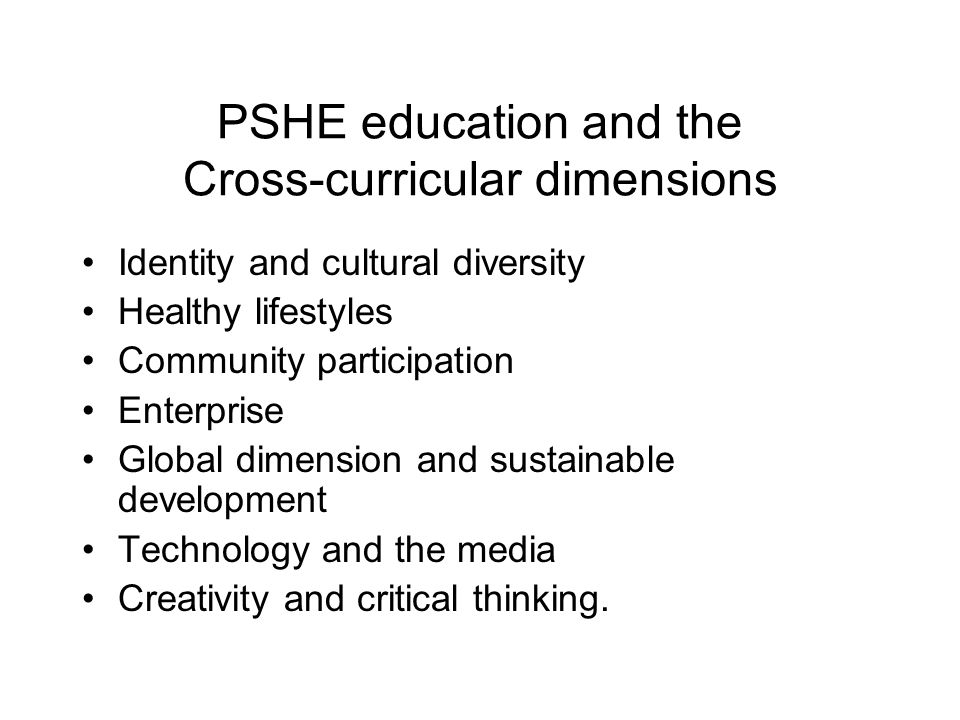 PSHE education and the Cross-curricular dimensions Identity and cultural diversity Healthy lifestyles Community participation Enterprise Global dimension and sustainable development Technology and the media Creativity and critical thinking.
