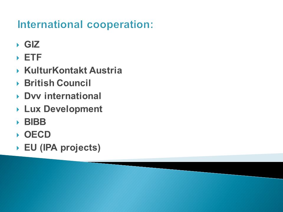 International cooperation: GIZ ETF KulturKontakt Austria British Council Dvv international Lux Development BIBB OECD EU (IPA projects)