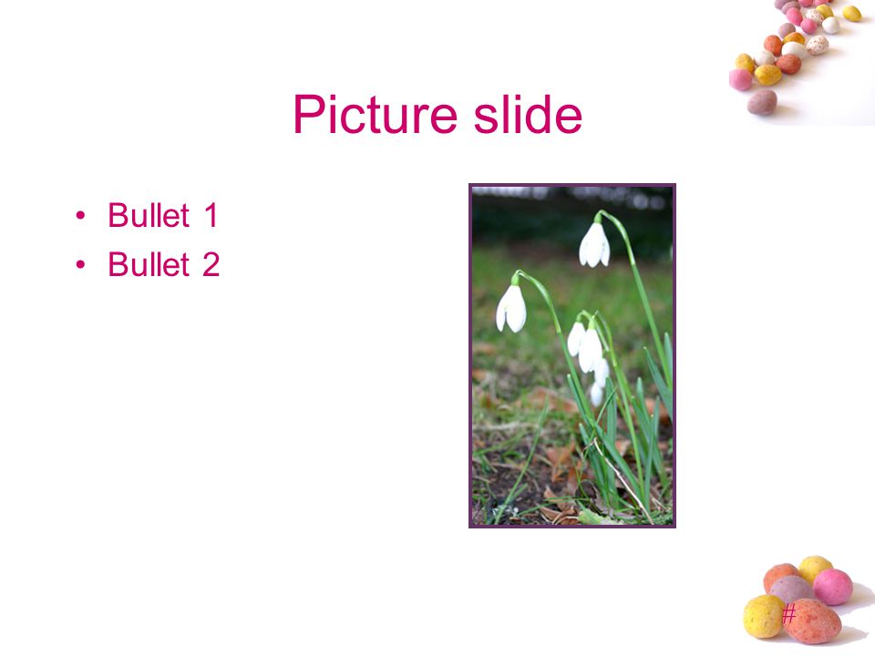 # Picture slide Bullet 1 Bullet 2