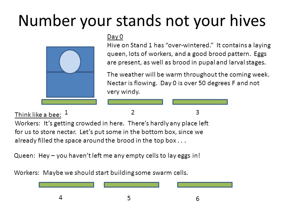 Number your stands not your hives Day 0 Hive on Stand 1 has over-wintered.