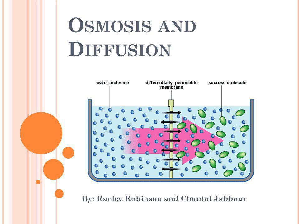 O SMOSIS AND D IFFUSION By: Raelee Robinson and Chantal Jabbour