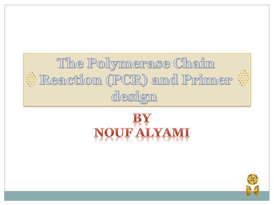 pcr technique ppt download pcr technique