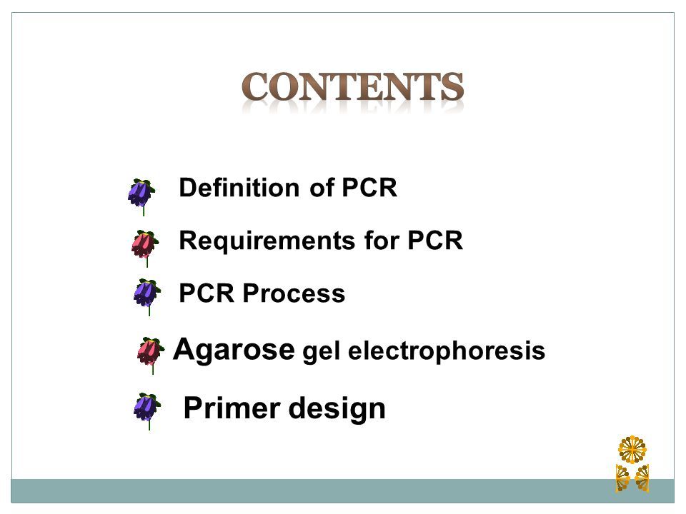 pcr technique ppt download pcr technique