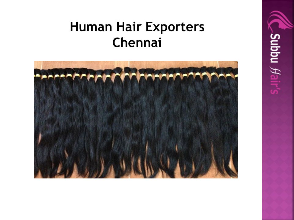 Indian Human Hair Exporter Chennai - Subbuhair - ppt download