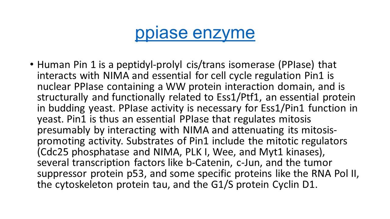 ppiase enzyme Human Pin 1 is a peptidyl-prolyl cis/trans isomerase (PPIase) that interacts with NIMA and essential for cell cycle regulation Pin1 is nuclear PPIase containing a WW protein interaction domain, and is structurally and functionally related to Ess1/Ptf1, an essential protein in budding yeast.
