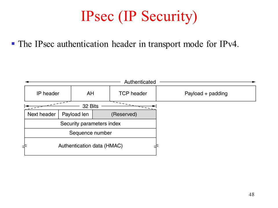 48 IPsec (IP Security)  The IPsec authentication header in transport mode for IPv4.