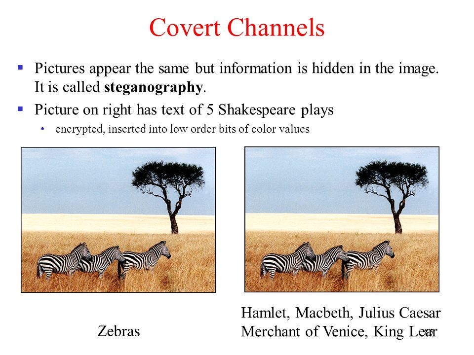 85 Covert Channels  Pictures appear the same but information is hidden in the image.