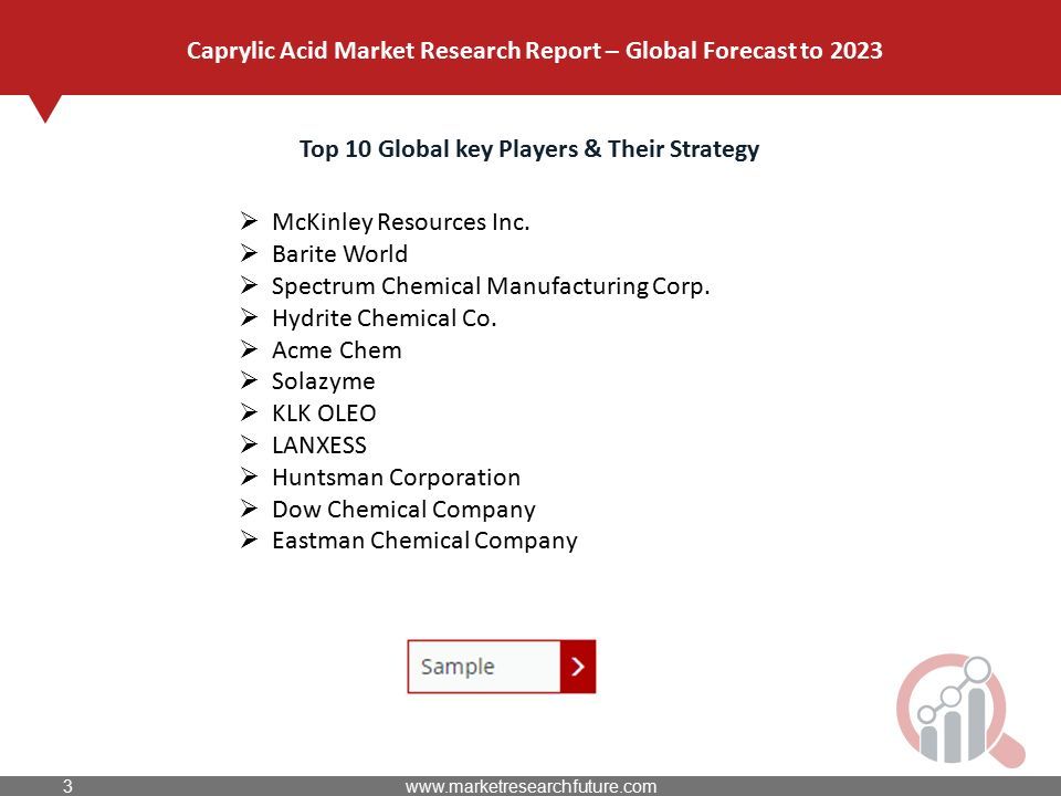 Top 10 Global key Players & Their Strategy  McKinley Resources Inc.
