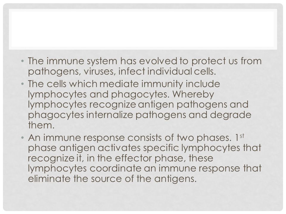 DR. TAMARY HAKIKA IMMUNOLOGY. DEFINITIONS Of the four major causes of ...